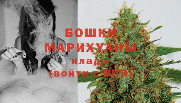 ПСИЛОЦИБИНОВЫЕ ГРИБЫ Горно-Алтайск