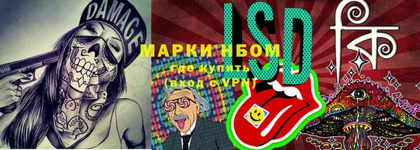 ПСИЛОЦИБИНОВЫЕ ГРИБЫ Горно-Алтайск