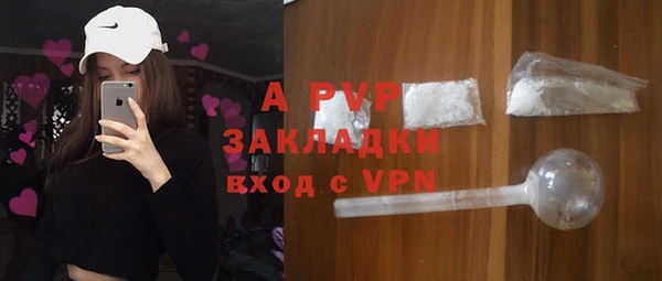ПСИЛОЦИБИНОВЫЕ ГРИБЫ Горно-Алтайск