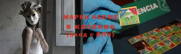 ПСИЛОЦИБИНОВЫЕ ГРИБЫ Горно-Алтайск