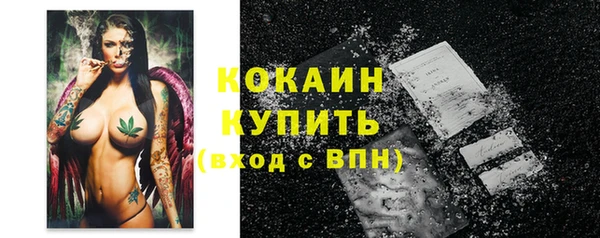 ПСИЛОЦИБИНОВЫЕ ГРИБЫ Горно-Алтайск