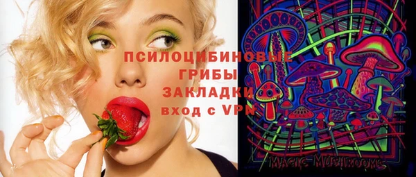 ПСИЛОЦИБИНОВЫЕ ГРИБЫ Горно-Алтайск