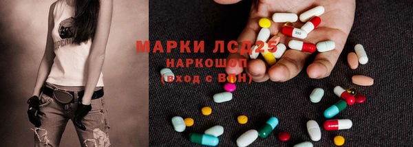 ПСИЛОЦИБИНОВЫЕ ГРИБЫ Горно-Алтайск