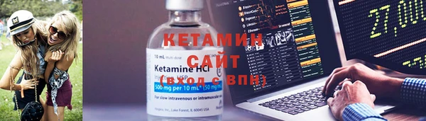 ПСИЛОЦИБИНОВЫЕ ГРИБЫ Горно-Алтайск