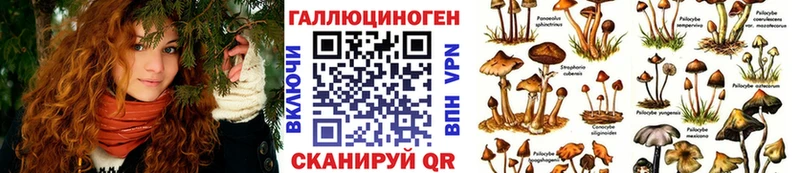 Галлюциногенные грибы ЛСД  нарко площадка состав  Махачкала  blacksprut ссылка 